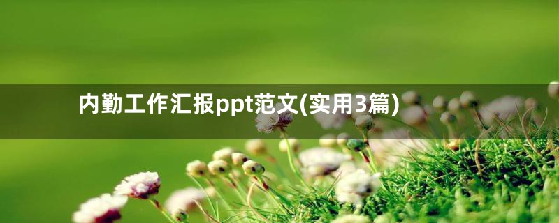 内勤工作汇报ppt范文(实用3篇)
