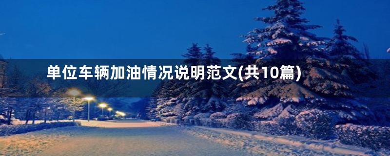 单位车辆加油情况说明范文(共10篇)