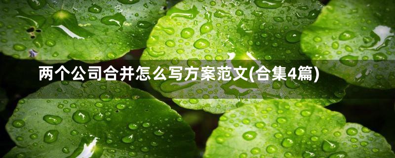 两个公司合并怎么写方案范文(合集4篇)