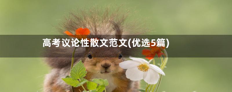 高考议论性散文范文(优选5篇)