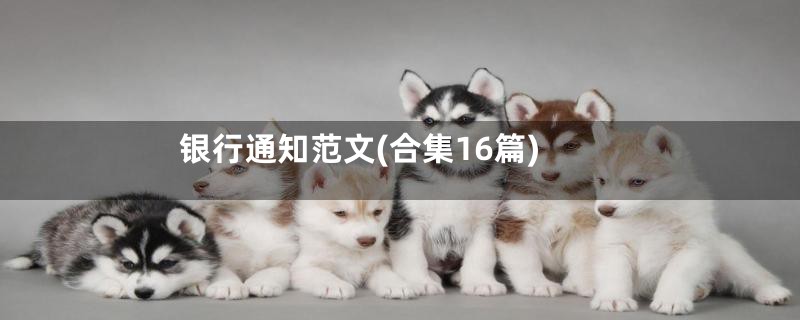 银行通知范文(合集16篇)
