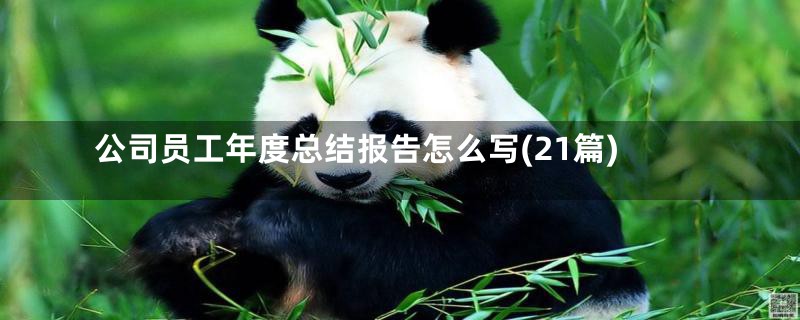 公司员工年度总结报告怎么写(21篇)