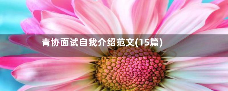 青协面试自我介绍范文(15篇)