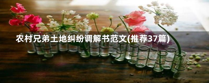 农村兄弟土地纠纷调解书范文(推荐37篇)