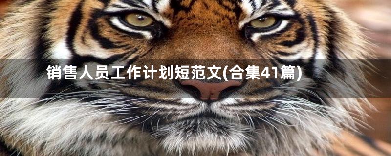 销售人员工作计划短范文(合集41篇)