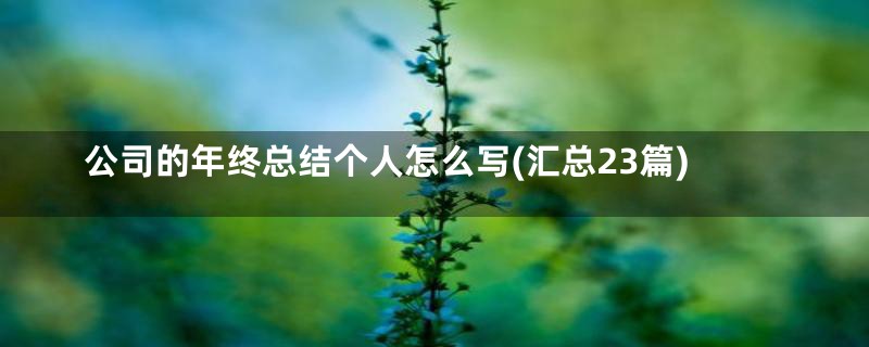 公司的年终总结个人怎么写(汇总23篇)