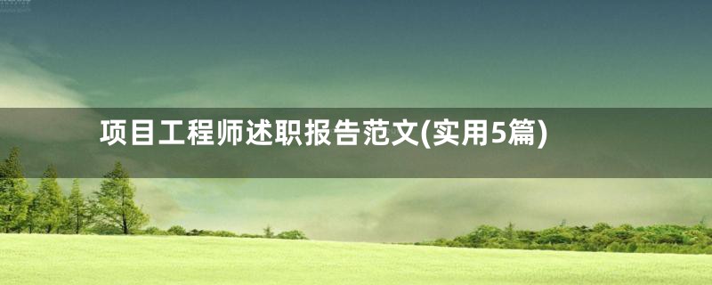 项目工程师述职报告范文(实用5篇)
