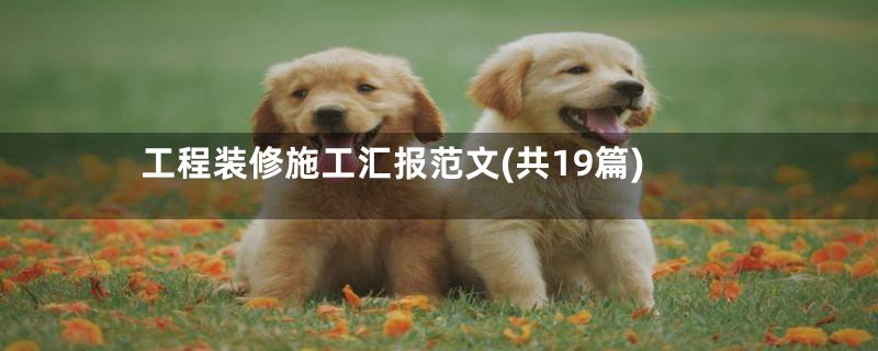 工程装修施工汇报范文(共19篇)