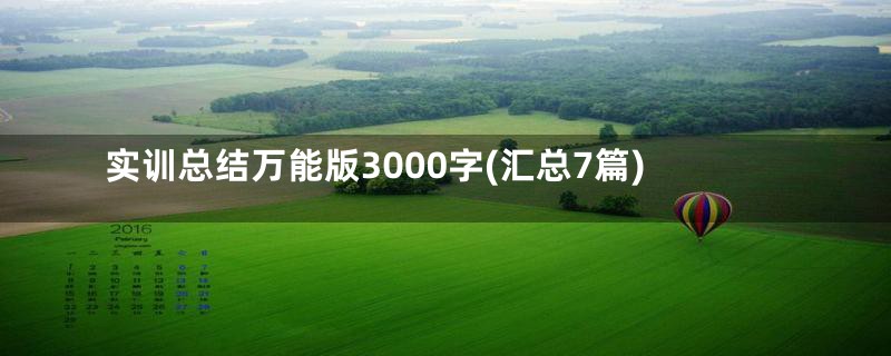 实训总结万能版3000字(汇总7篇)