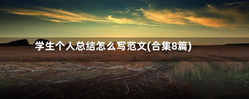 学生个人总结怎么写范文(合集8篇)