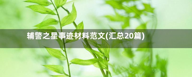 辅警之星事迹材料范文(汇总20篇)