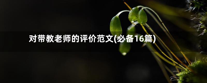 对带教老师的评价范文(必备16篇)