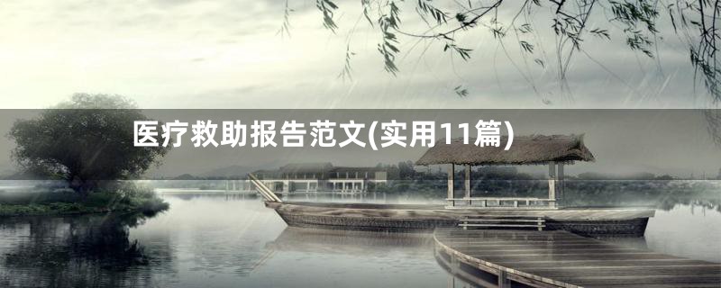 医疗救助报告范文(实用11篇)