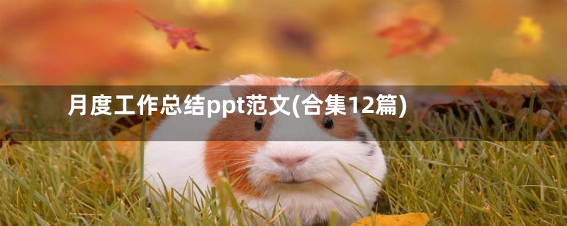 月度工作总结ppt范文(合集12篇)