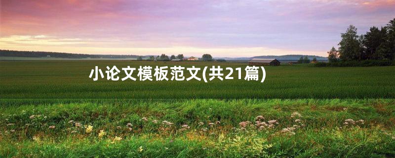 小论文模板范文(共21篇)