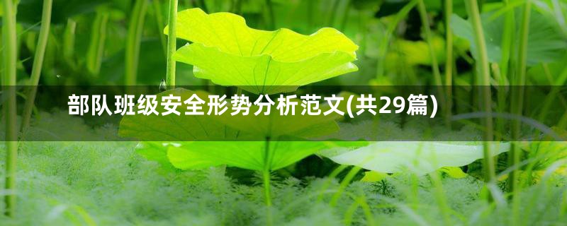 部队班级安全形势分析范文(共29篇)