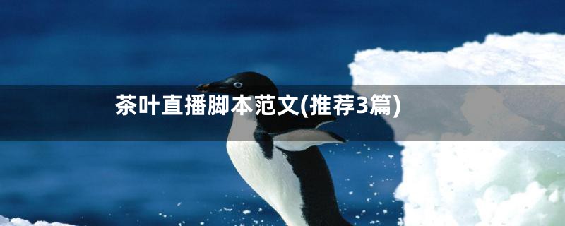 茶叶直播脚本范文(推荐3篇)
