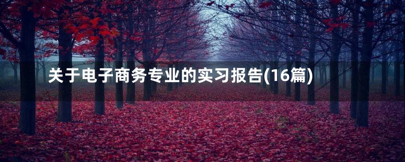 关于电子商务专业的实习报告(16篇)