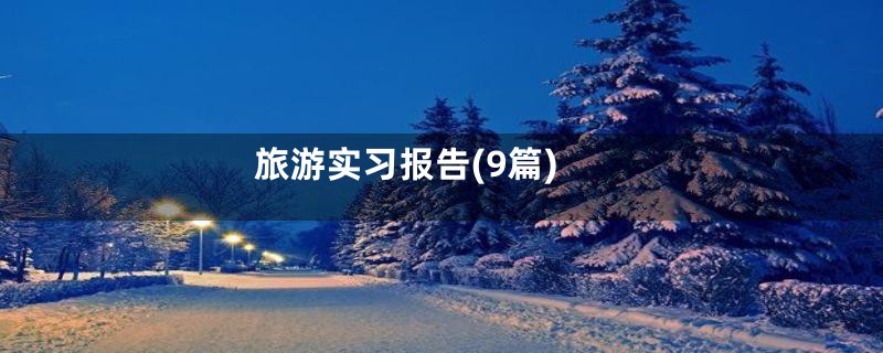 旅游实习报告(9篇)