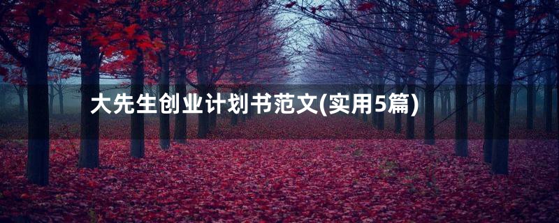 大先生创业计划书范文(实用5篇)