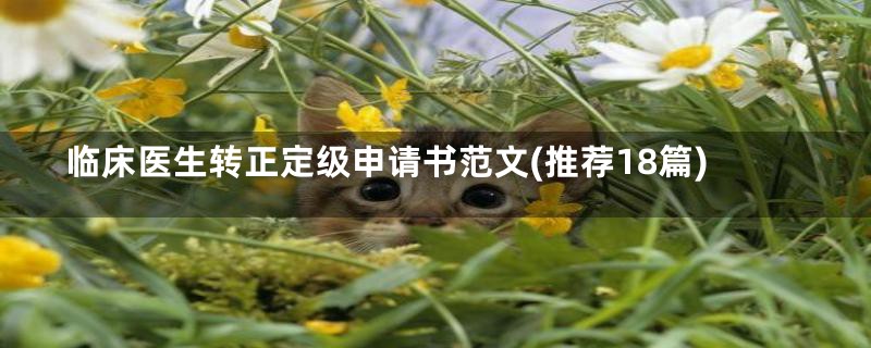 临床医生转正定级申请书范文(推荐18篇)