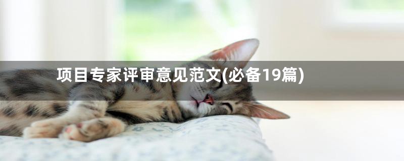 项目专家评审意见范文(必备19篇)