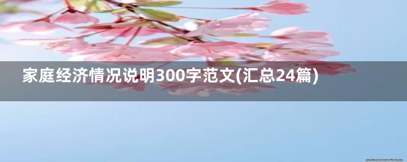 家庭经济情况说明300字范文(汇总24篇)