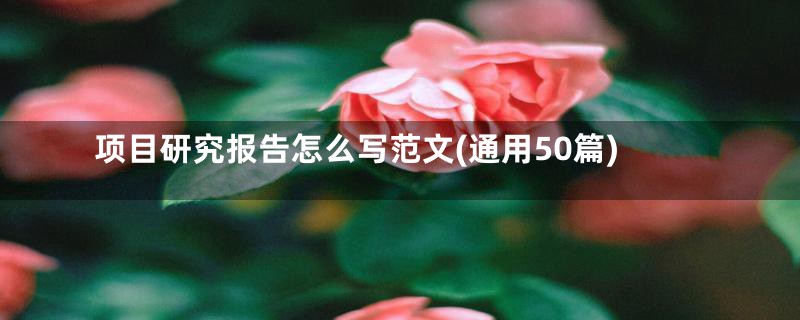 项目研究报告怎么写范文(通用50篇)