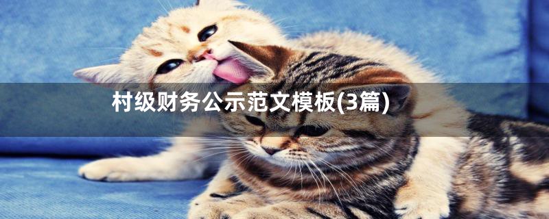村级财务公示范文模板(3篇)