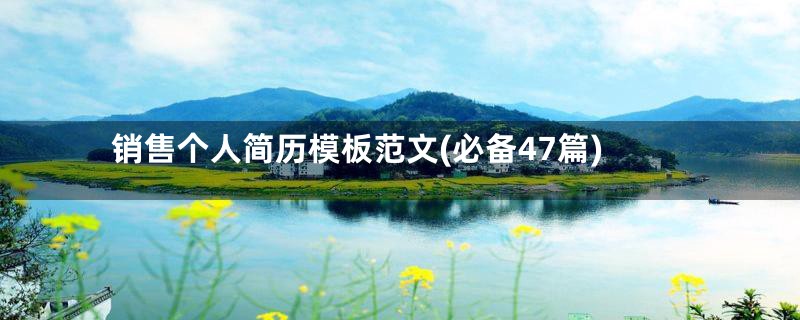 销售个人简历模板范文(必备47篇)
