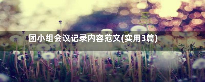 团小组会议记录内容范文(实用3篇)