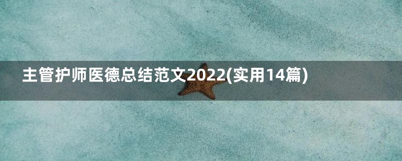主管护师医德总结范文2022(实用14篇)