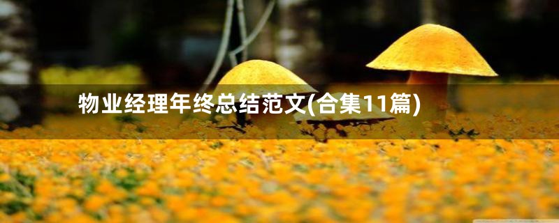 物业经理年终总结范文(合集11篇)