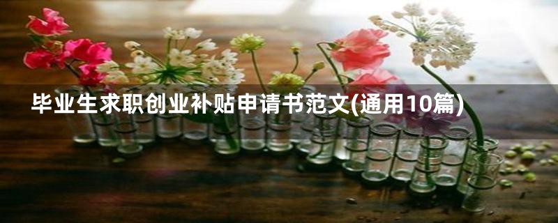 毕业生求职创业补贴申请书范文(通用10篇)