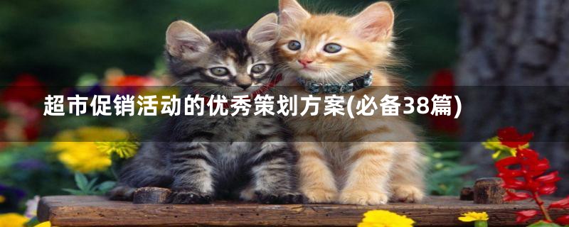 超市促销活动的优秀策划方案(必备38篇)