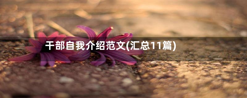 干部自我介绍范文(汇总11篇)