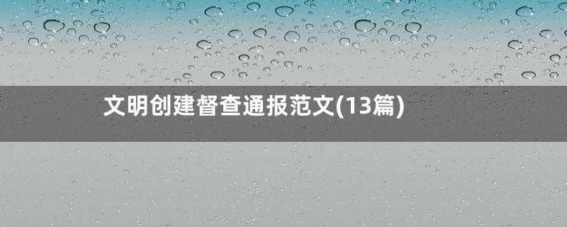 文明创建督查通报范文(13篇)