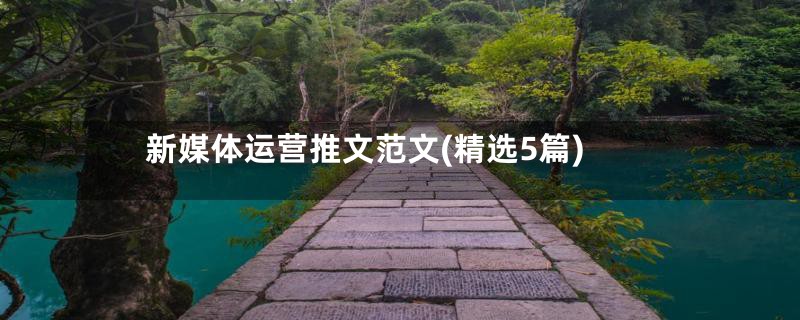 新媒体运营推文范文(精选5篇)