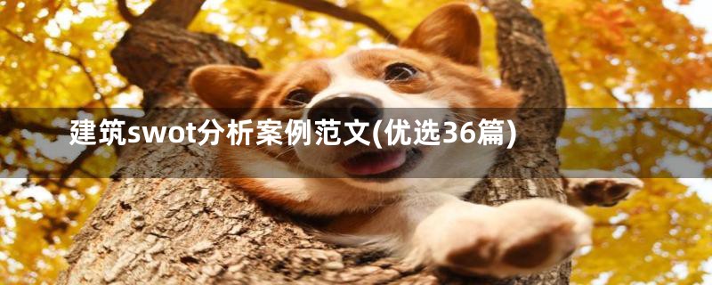 建筑swot分析案例范文(优选36篇)