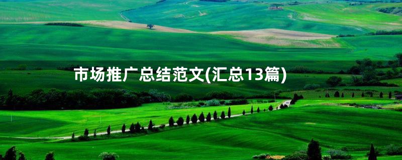 市场推广总结范文(汇总13篇)