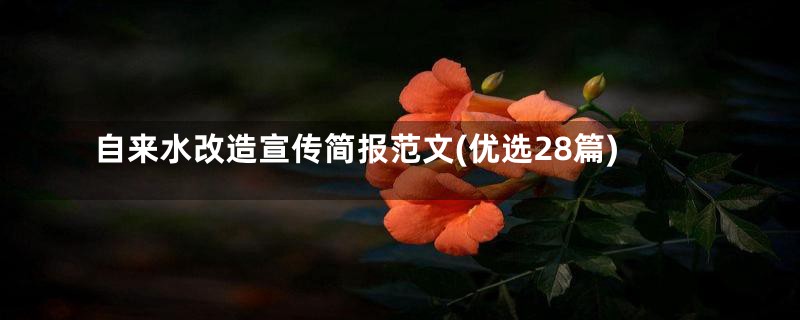 自来水改造宣传简报范文(优选28篇)