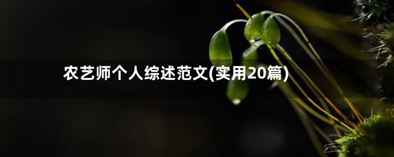 农艺师个人综述范文(实用20篇)