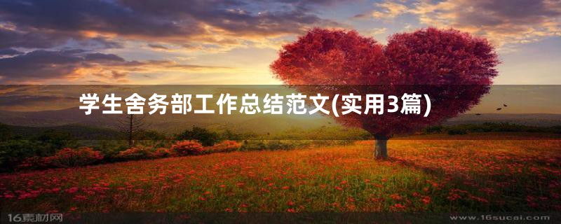 学生舍务部工作总结范文(实用3篇)