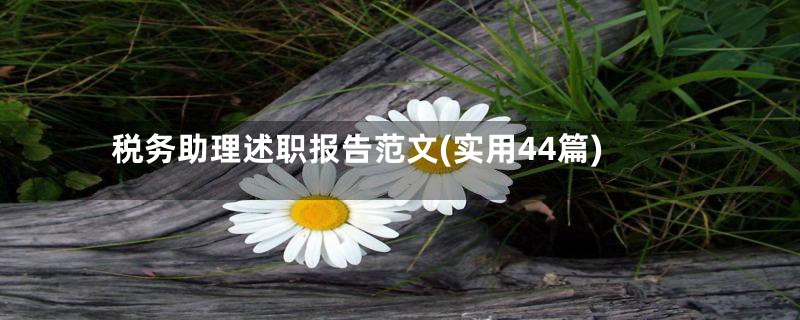 税务助理述职报告范文(实用44篇)