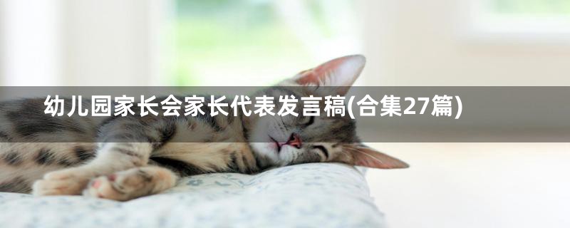 幼儿园家长会家长代表发言稿(合集27篇)