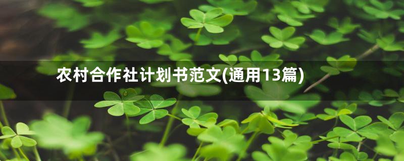 农村合作社计划书范文(通用13篇)