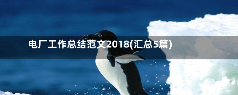 电厂工作总结范文2018(汇总5篇)