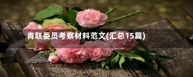 青联委员考察材料范文(汇总15篇)