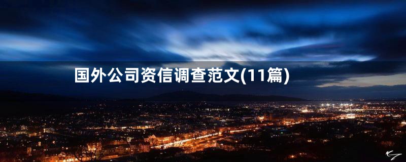 国外公司资信调查范文(11篇)