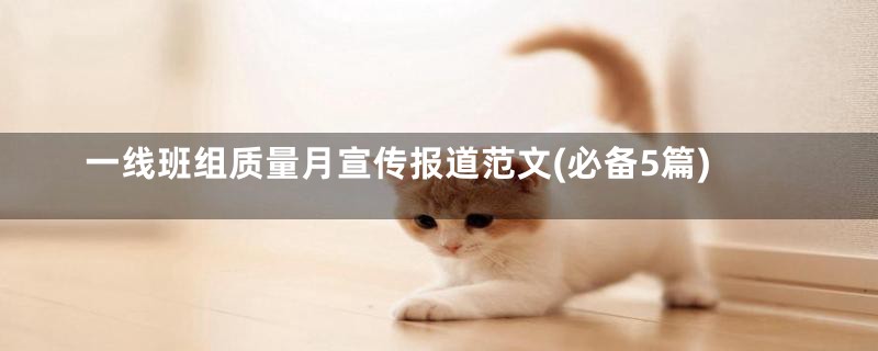 一线班组质量月宣传报道范文(必备5篇)